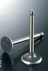 XL250S XR250 Exhaust Valve