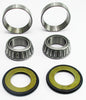 Ducati Steering Head Stem Bearing Kit  22-1062