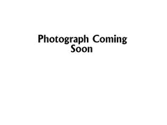 Yamaha Piston Diaphragm N215519