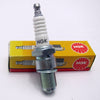 B8HS NGK Spark Plug